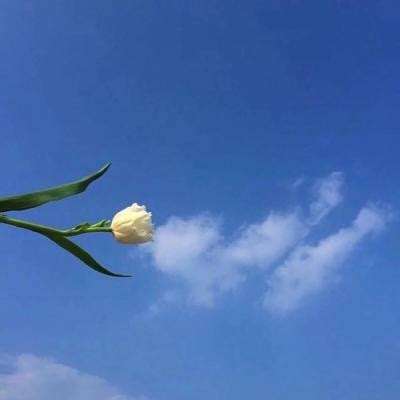 魔法光束游戏下载